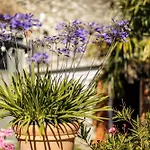 La Loge - Chateau Mondou * Villeneuve-sur-Lot